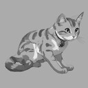 Get This Cat