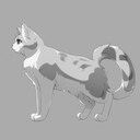 Get This Cat