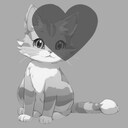 Like This Cat