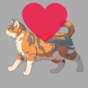 Like This Cat