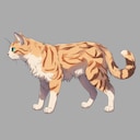 Get This Cat