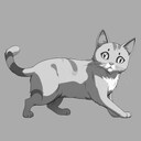Get This Cat