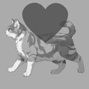 Like This Cat