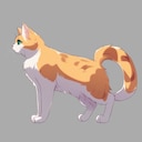 Get This Cat
