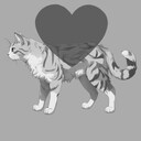 Like This Cat