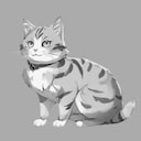 Get This Cat