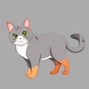Get This Cat