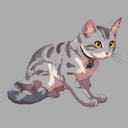 Get This Cat