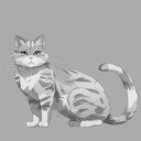 Get This Cat
