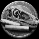 Veteran Paleontologist achievement