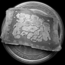 Map Maker achievement