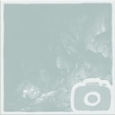Forest cave