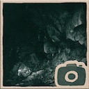 Forest cave