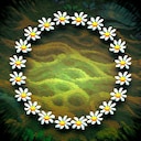 Floral Fixation
