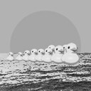 Ducks adrift achievement