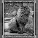 Guardione