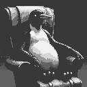 Dedicated Penguin