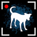 It Reaches Fetch! Achievement