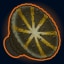 Idle Champions of the Forgotten Realms It's So Pretty... Achievement
