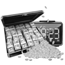 Investor