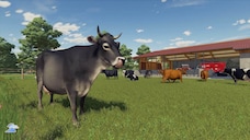 Fluffyness achievement