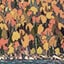 All Autumn `22