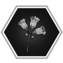 Clovemary for Remembering achievement