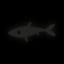 Goldfish