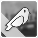 Early Bird achievement