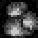 Plague