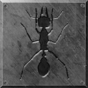 Ants?