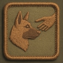 Good Boy