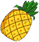 First Planting Pineapple