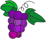 First Planting Grape
