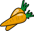 First Planting carrot