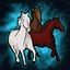 Pretty Horses