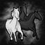 Pretty Horses