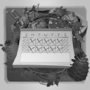 Pumpkins and Postage Stamps achievement