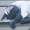 Escape from Blackwood Cat lover 成就