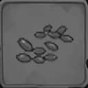 Beginner's Luck