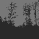 Ashes and Whispers