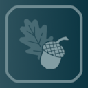 Acorn achievement