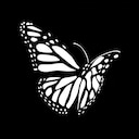 Float Like A Butterfly