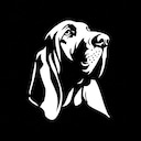 Bloodhound