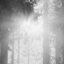 Forth Level achievement