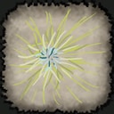 Nightwater Memories Achievement