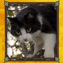 Hidden Cats in Berlin Bichin Achievement