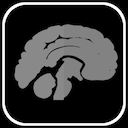 The Brain