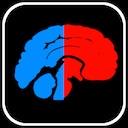 The Brain