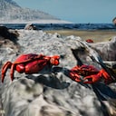 Restore Your Island Not Empty Anymore Achievement